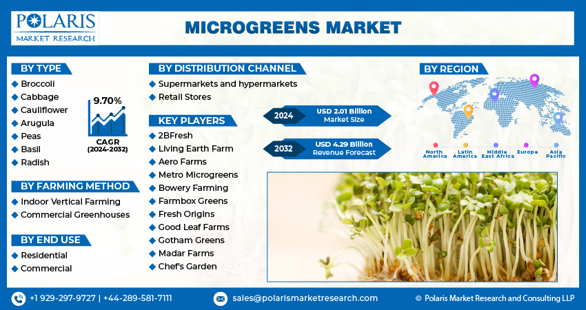 Microgreens Market1